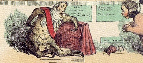 Grandville’s sloth from the larger print