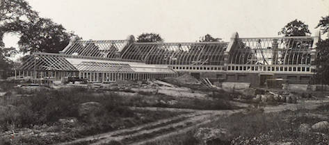 NYBG’s Conservatory under construction, 1908
