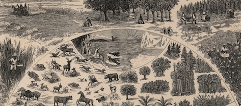 Illustration of the Plant and Animal Kingdoms and the Harvesting of Crops, Chicago: A.C. Shewey and Co., 1883, David Rumsey Map Collection at Stanford University Libraries