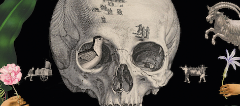 Selection from the cover of Natural Things in Early Modern Worlds